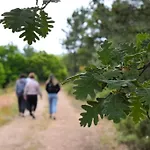 Tozolosolobos Prázdninový dům Otero de Bodos
