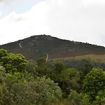 Tozolosolobos Otero de Bodos