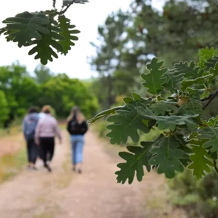 Tozolosolobos Dom wakacyjny Otero de Bodos