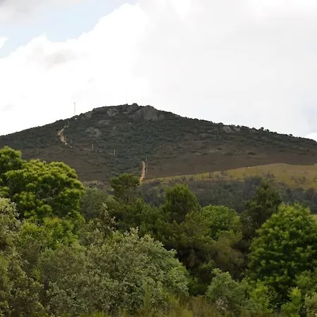 Tozolosolobos Otero de Bodos