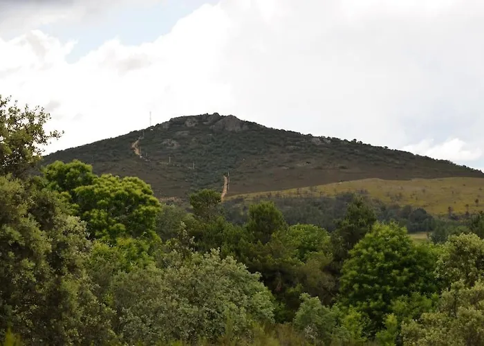 Tozolosolobos Otero de Bodos
