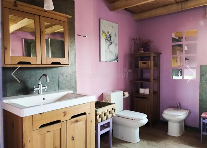 Nyaraló Tozolosolobos *